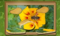 Immagine Find & Restore: Hidden Puzzle