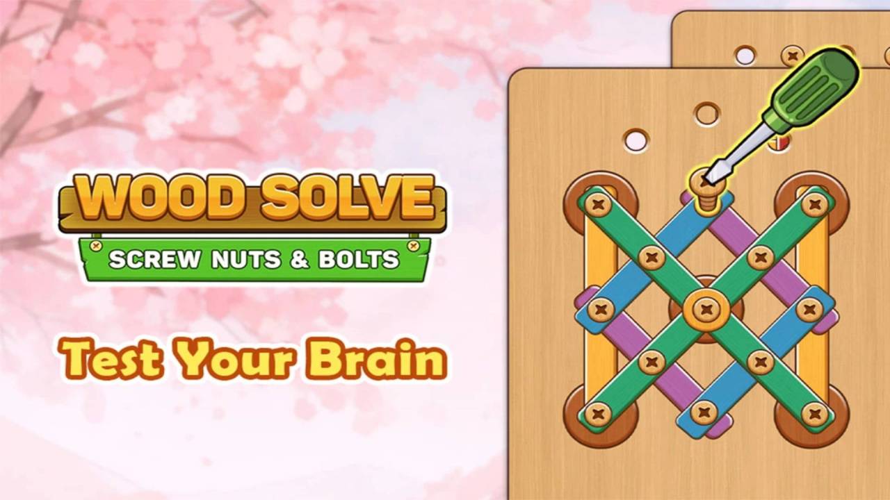 Immagine Screw Nuts & Bolts: Wood Solve