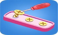 Immagine Screw Puzzle